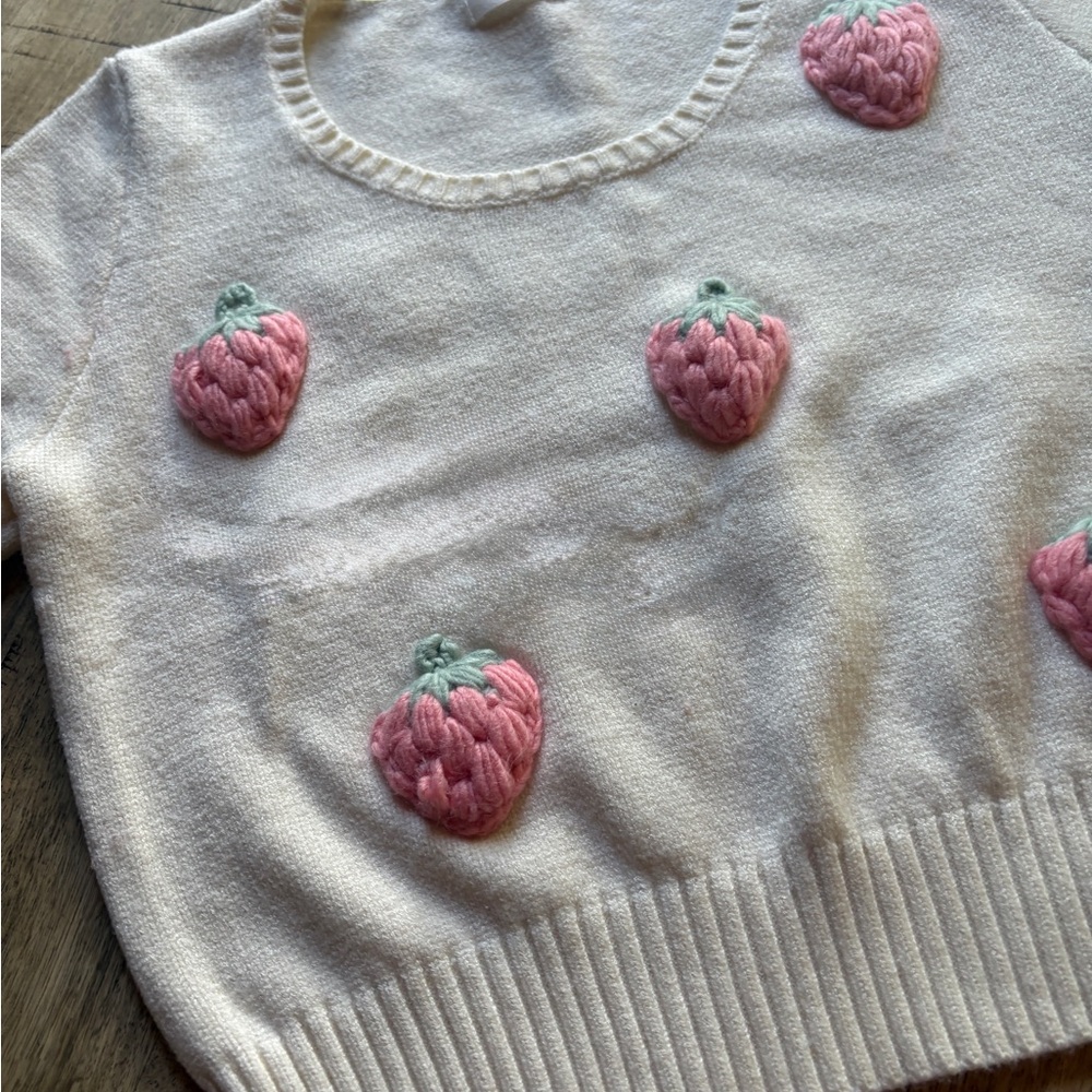 Strawberry Embroidered Cropped Short Sleeve Knit Top Cream & Pink by Luna Ivy - Picture 4 of 10